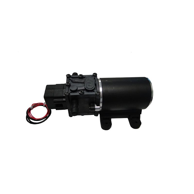 Item Pompe à membrane avec pressostat pour Pro Sprayer