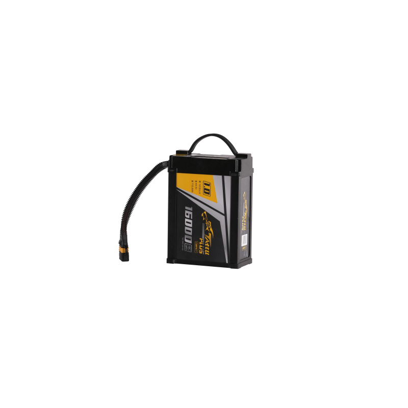 Item Smart Batterie 16000 C10